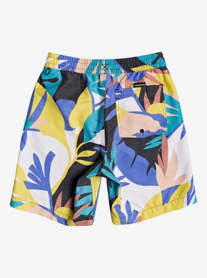 Quiksilver Boys Big Destination Volley Youth 15 Boardshort Swim Trunk