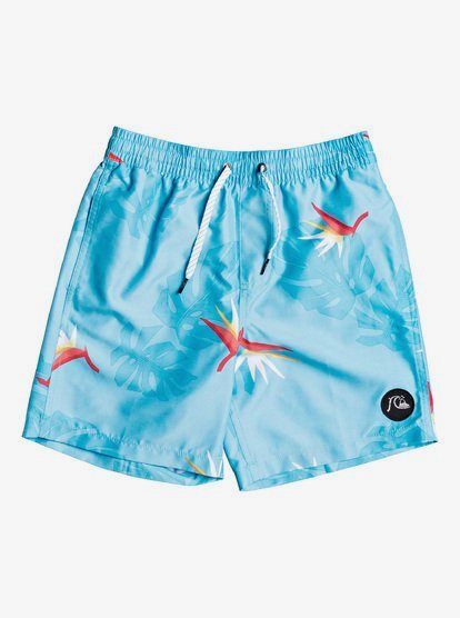 Quiksilver Boys Big Destination Volley Youth 15 Boardshort Swim Trunk