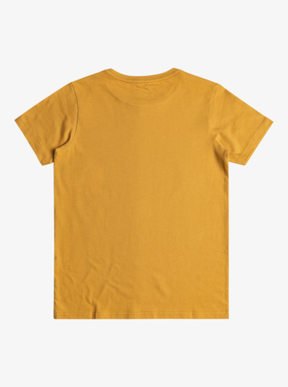 Qs Steel - T-Shirt for Boys 8-16 EQBZT04677