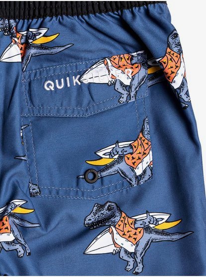 quicksilver boys boardshorts