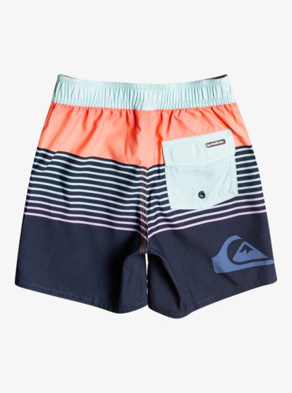 Boys on sale quicksilver boardshorts