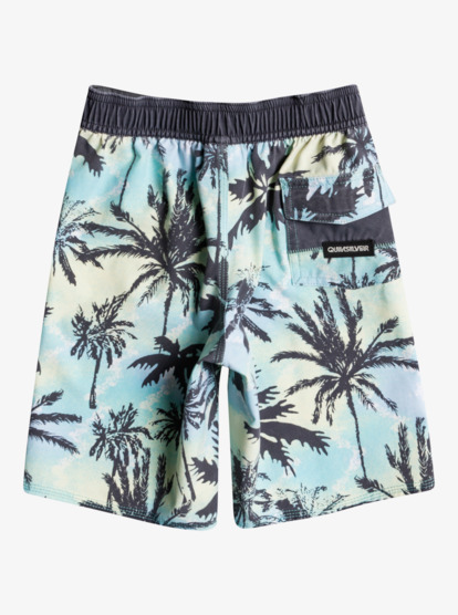 Surfsilk Washed 14" - Board Shorts for Boys 2-7 EQKBS03373