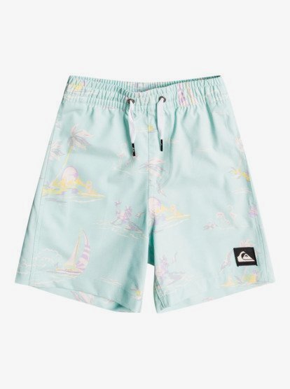 Swim Shorts 3613376601411 | Quiksilver