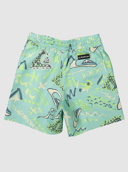 Next boys sale swimming shorts