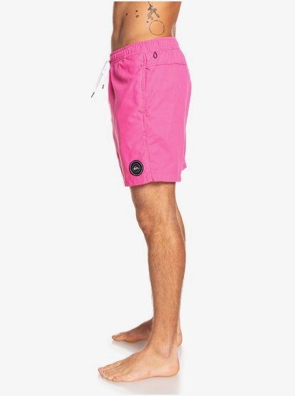 quiksilver everyday swim shorts