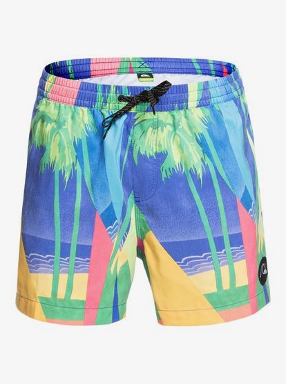 Quiksilver Boys Big Destination Volley Youth 15 Boardshort Swim Trunk