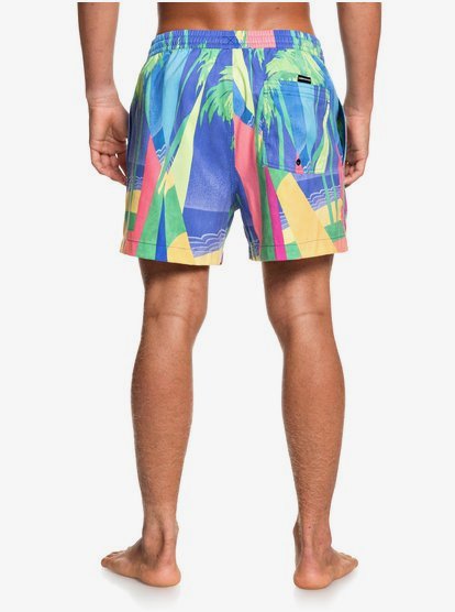 Quiksilver Boys Big Destination Volley Youth 15 Boardshort Swim Trunk