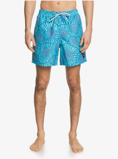 quicksilver volley shorts