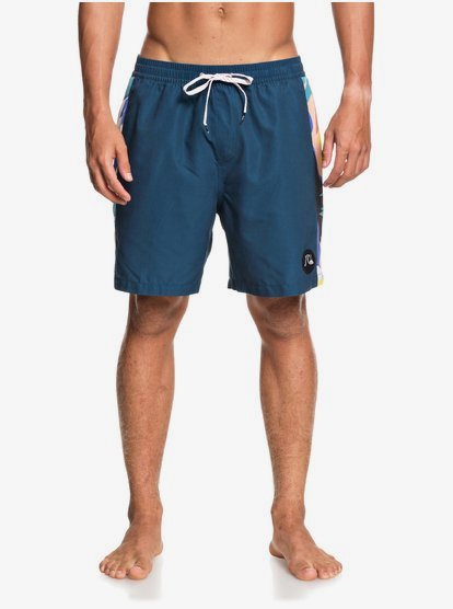 Swim Shorts 3613375054164 | Quiksilver