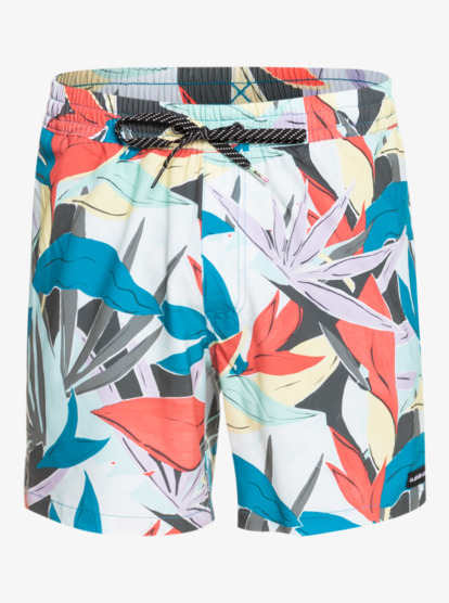 Mystic Session 15 Swim Shorts For Men Eqyjv03732 Quiksilver