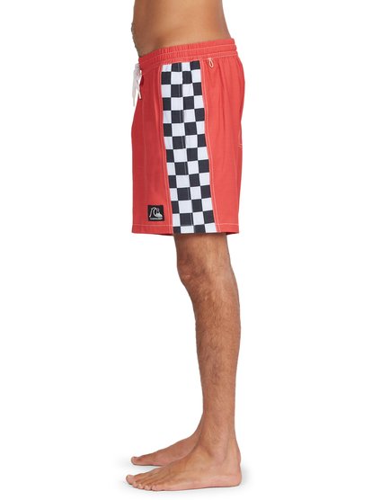 Muzhskie Plavatelnye Shorty Dna Checker Arch 17 3613376154740 Quiksilver