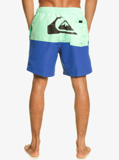 Butt Logo 17" - Swim Shorts for Men  EQYJV03994
