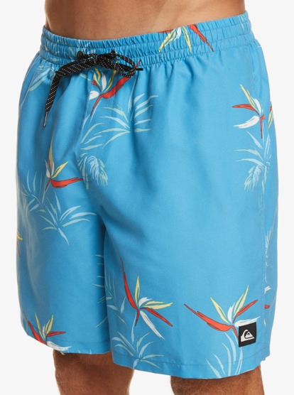 Quiksilver everyday 2025 swim shorts