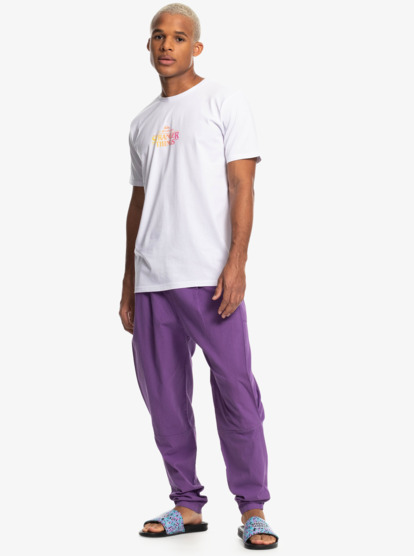 Quiksilver x Stranger Things The Argyle - Trousers for Men EQYNP03267