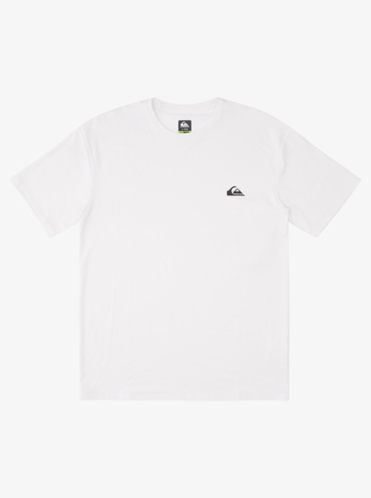 Solid Streak - Short Sleeve UPF 50 Surf T-Shirt for Men  EQYWR03235