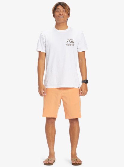 Ocean Union 20" - Amphibian Board Shorts for Men  EQYWS03782