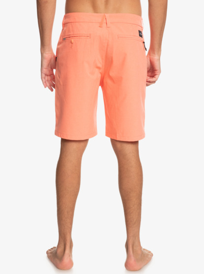 Union Heather 20" - Amphibian Boardshorts for Young Men  EQYWS03783