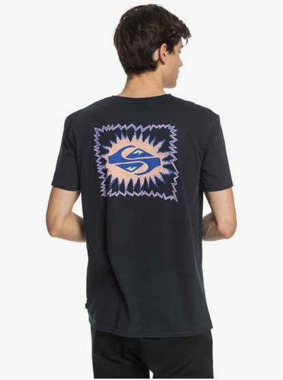 Quiksilver Mens Quiet Temple Short Sleeve Tee