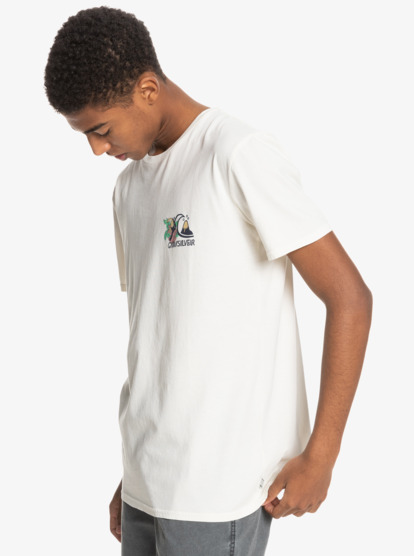 Muzhskaya Futbolka Informal Disco 3613376186000 Quiksilver