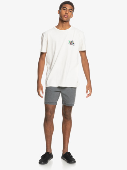 Muzhskaya Futbolka Informal Disco 3613376186000 Quiksilver