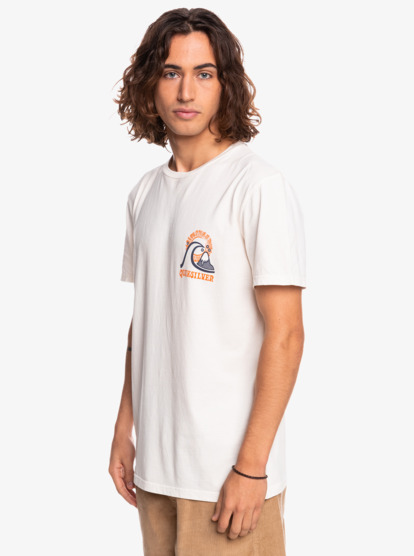 organic tee shirts