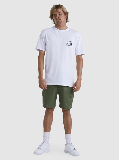 Quiksilver everyday deluxe hot sale cargo shorts