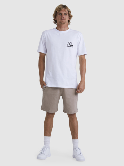 Quiksilver walkshorts 2025