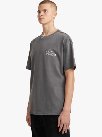 Mens Carver T-Shirt | Quiksilver