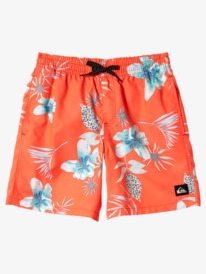 Everyday Mix - Swim Shorts for Boys 8-16  AQBJV03040