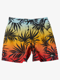 Maillots de Bain Enfant la Collection Gar ons Quiksilver