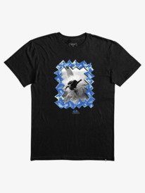 FUTURE ISLANDS BT0  AQBZT04018