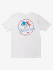 Palm Breezy - T-Shirt for Boys 8-16  AQBZT04297