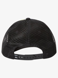 RAVEN COOP BOY  AQKHA03370