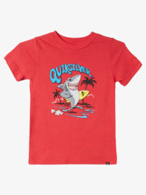 Washed Out - T-Shirt for Boys 2-7  AQKZT03970