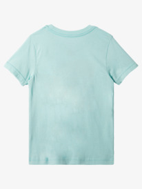 Boys T-Shirts - Shop Kids Collection Online | Quiksilver