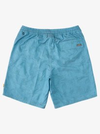 Waterman Fin Party 19" - Swim Shorts for Men  AQMJV03075