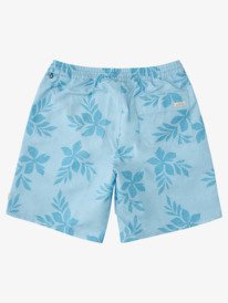 quiksilver, Waterman Night Movers 19" Volleys, AQUATIC NIGHT MOVERS VOLLEY (bfm6) Waterman Night Movers 19" - Swim Shorts for Men AQMJV03076