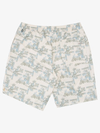 quiksilver, Waterman Stone Steps 19" Volley, TEA STONESTEPS VOL (ghe6) STONE STEPS VOLLEY AQMJV03081