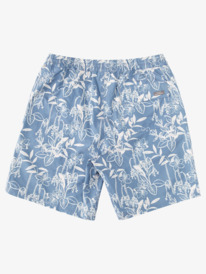 quiksilver, LOOSE WAYS VOLLEY, ENSIGN BLUE LOOSE WAYS VY (brd6) LOOSE WAYS VOLLEY AQMJV03085