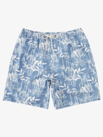 quiksilver, LOOSE WAYS VOLLEY, ENSIGN BLUE LOOSE WAYS VY (brd6) LOOSE WAYS VOLLEY AQMJV03085