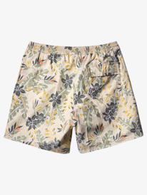 quiksilver, Perfect Feel 17" - Swim Shorts for Men, BROWN RICE PERFECT FEEL (tef6) Perfect Feel 17" - Swim Shorts for Men AQMJV03088