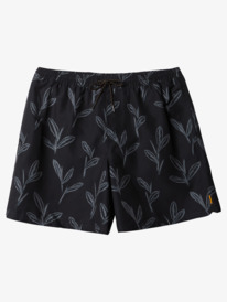 quiksilver, Waterman Ginger Stalks Volleys, BLACK GINGER STALKS (kvj6) GINGER STALKS VOLLEY AQMJV03091
