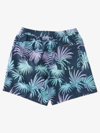 D Faded Palm 17" - Swim Shorts for Men  AQYJV03121