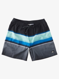 D Swell Vision 17" - Swim Shorts for Men  AQYJV03124