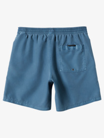 Everyday Surfwash 17" - Swim Shorts for Men  AQYJV03130