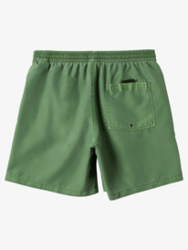Everyday Surfwash 17" - Swim Shorts for Men  AQYJV03130