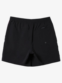 Everyday Vert Volley 17" - Swim Shorts for Men  AQYJV03140