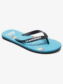 quicksilver slippers