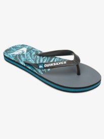 quicksilver slippers