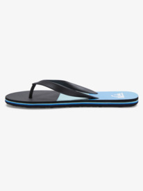 Molokai Panel - Flip-Flops for Men  AQYL101263